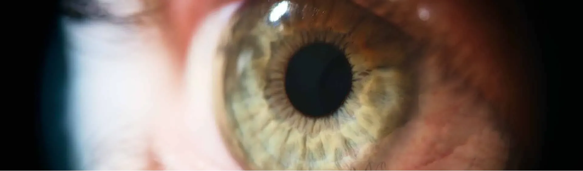 image alt text